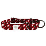 Martingale Dog Collar